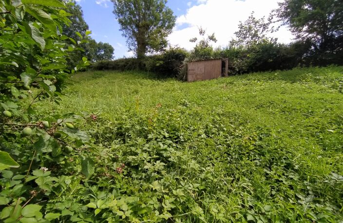 terrain — photo 2