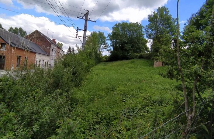terrain — photo 3