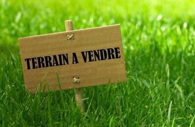 vente terrain 205 000 € à proximité de Saint-Pierre-de-Lages (31570)