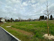 TERRAIN A BATIR - DERNIER LOT DISPONIBLE - FRICHEMESNIL - 811 m² — photo 2