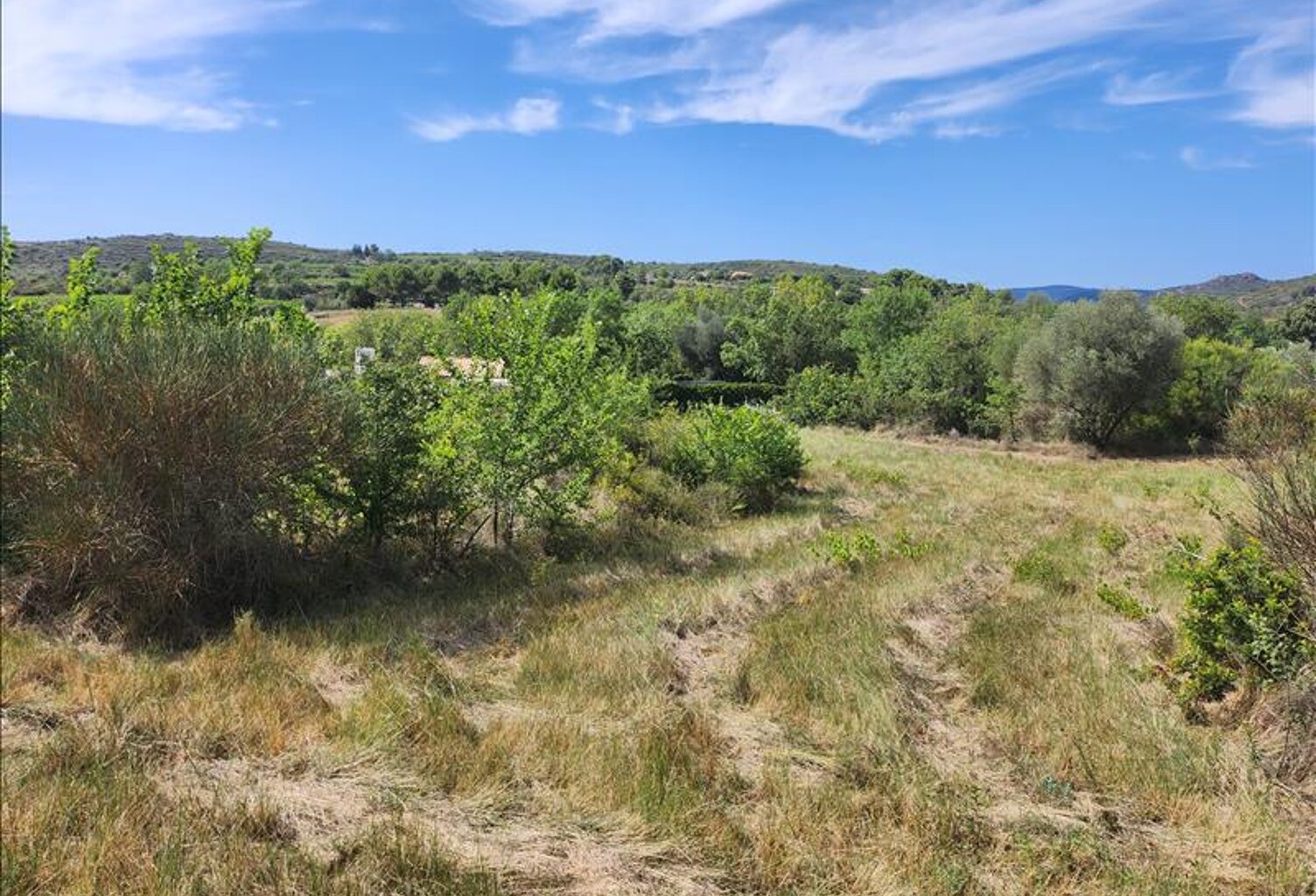 Terrain non constructible de 0 pièces principales — photo 1