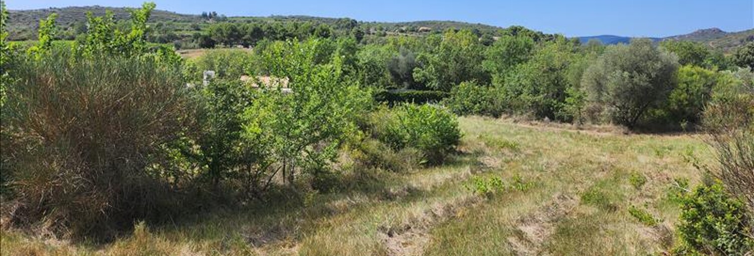 Terrain  4250 m² à vendre à Roujan (34320)