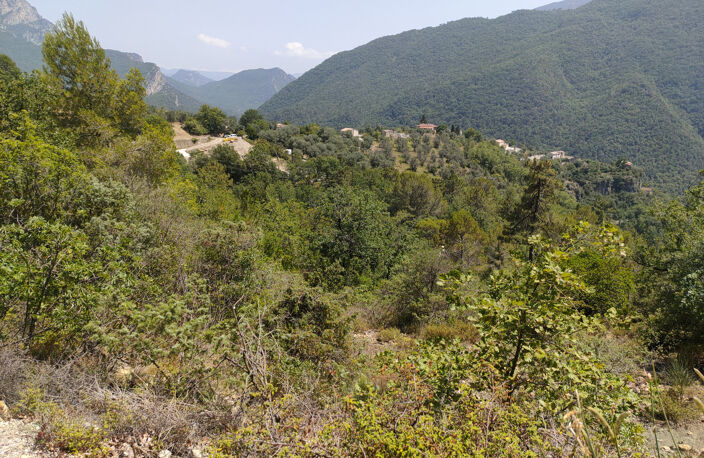 Terrain à Batir  de 1605m2 — photo 4