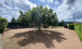 Photo N° 5
