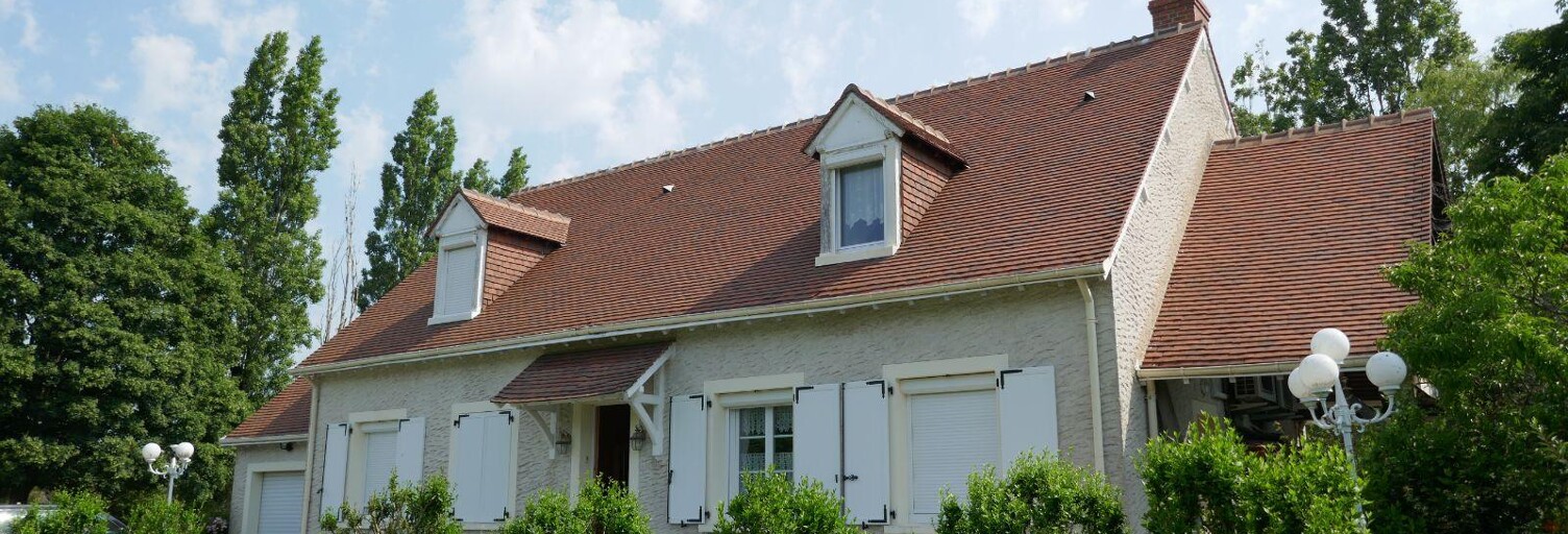 Maison 135 m² en viager Mosnay (36200)