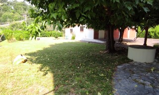 Photo N° 8
