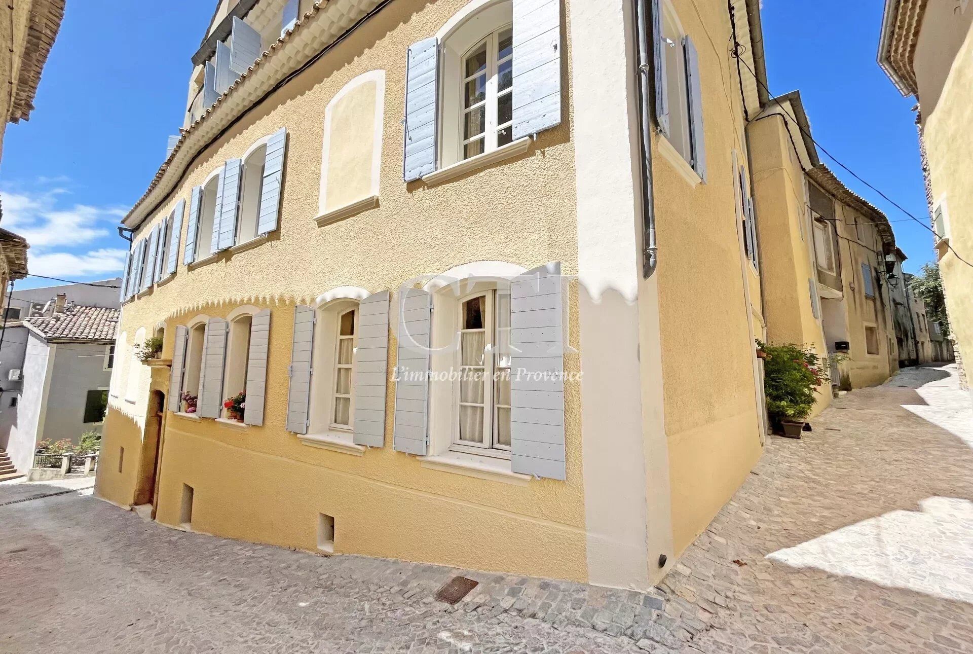 Vente Hôtel particulier 455 m² à Vaison-la-Romaine 980 000 €