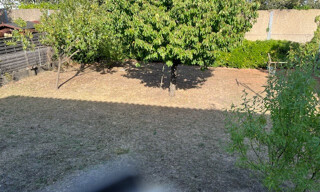 Photo N° 6