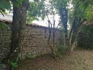 TERRAIN 490 m² — photo 3
