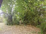 TERRAIN 490 m² — photo 4