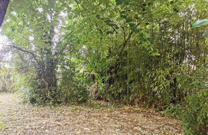 TERRAIN 490 m² — photo 4