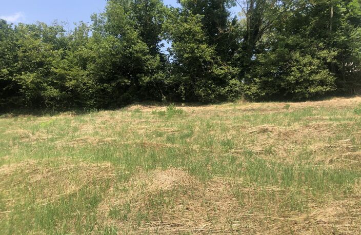 Vente terrain  850 m² Amplepuis (69550) — photo 3