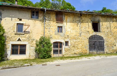 vente maison 55 000 € à proximité de Saint-Amour (39160)
