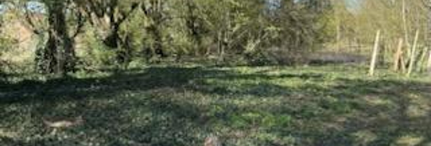 Terrain  7000 m² à vendre à Buire-Courcelles (80200)