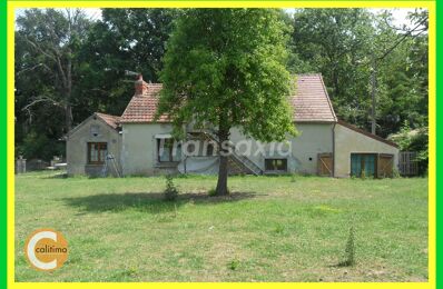 vente maison 69 500 € à proximité de Ainay-le-Vieil (18200)