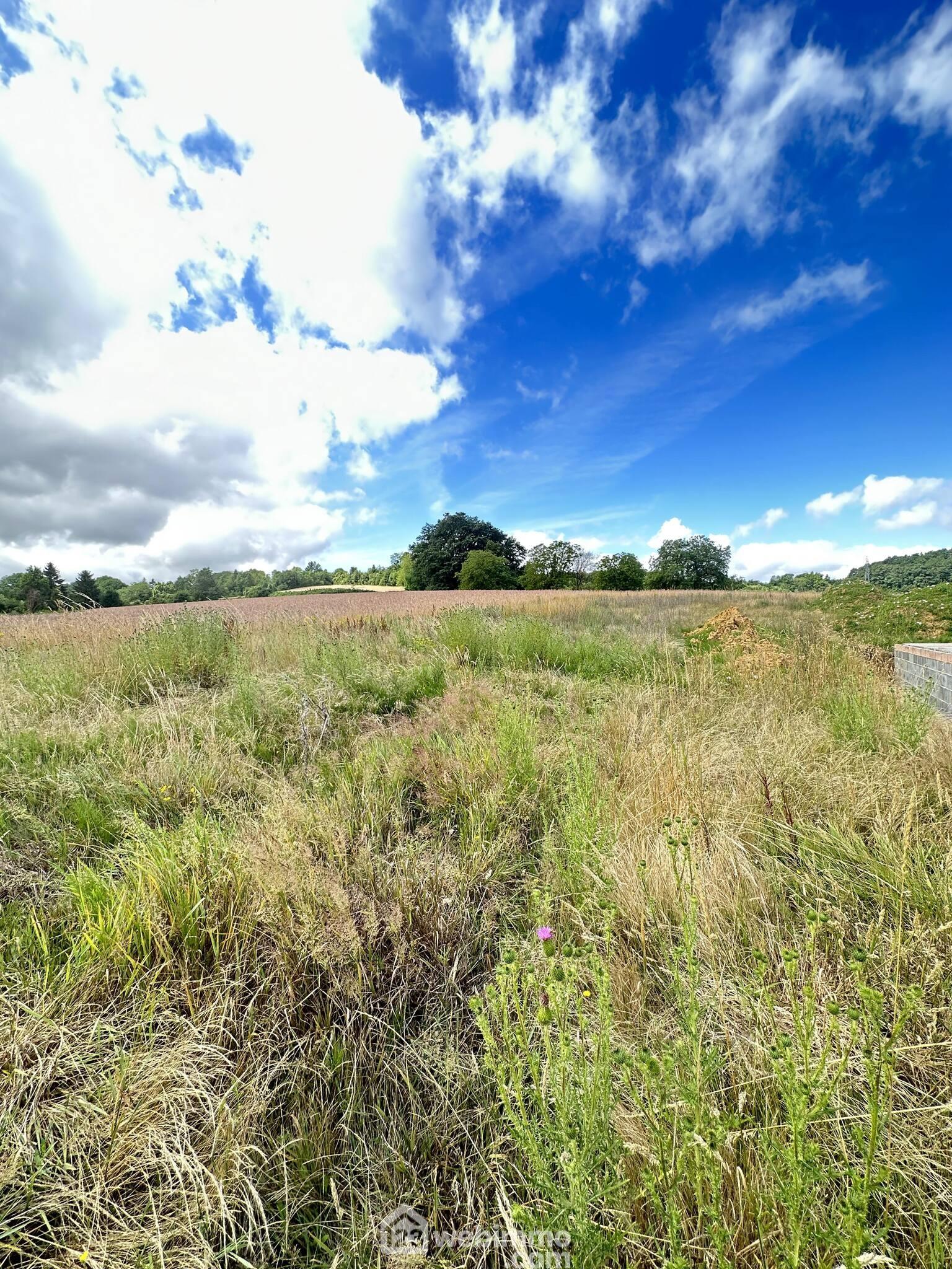 Terrain constructible - 1175m² - Vaudesson