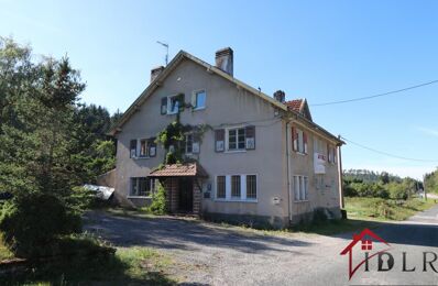 vente immeuble 141 700 € à proximité de Granges-sur-Vologne (88640)