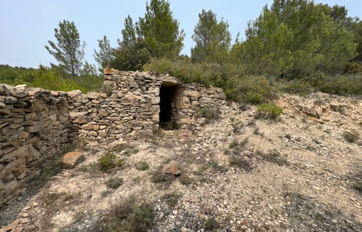 terrain  pièces 9270 m2 à vendre à Félines-Minervois (34210)