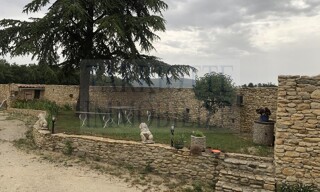 Photo N° 6