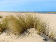 
          Appartement
          (73 à 148 m²)
          Capbreton
          -
          40130
         — photo 4