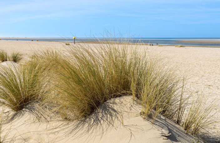 Vente programme neuf T3, T5 73 à 148 m² Capbreton (40130) — photo 4
