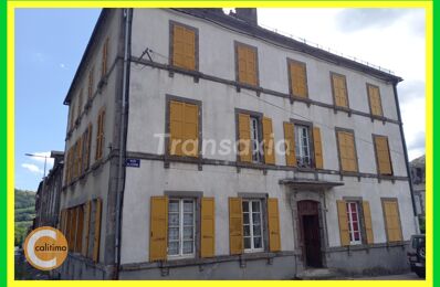 vente maison 93 000 € à proximité de Ferrières-Saint-Mary (15170)