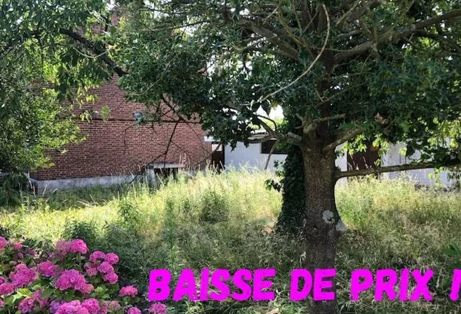Marchiennes Semi-individuelle — photo 1