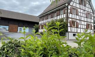 Maison 7 Pièces 270 m² à vendre à Knœringue (68220)