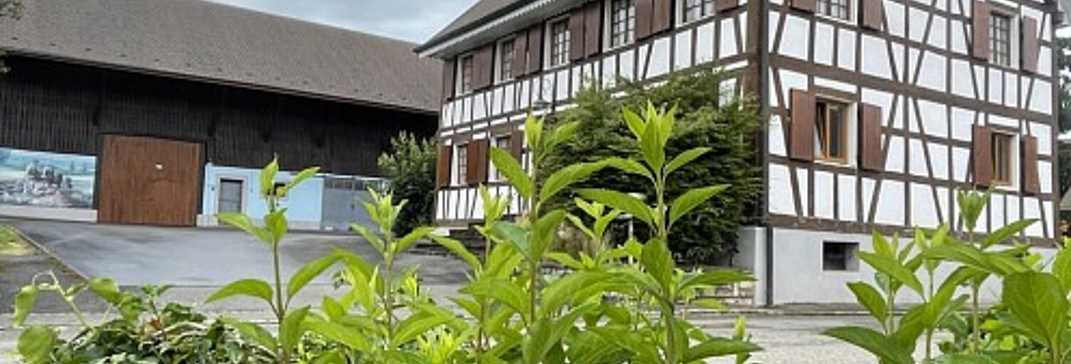 Maison 7 Pièces 270 m² à vendre à Knœringue (68220)