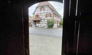 Photo N° 36