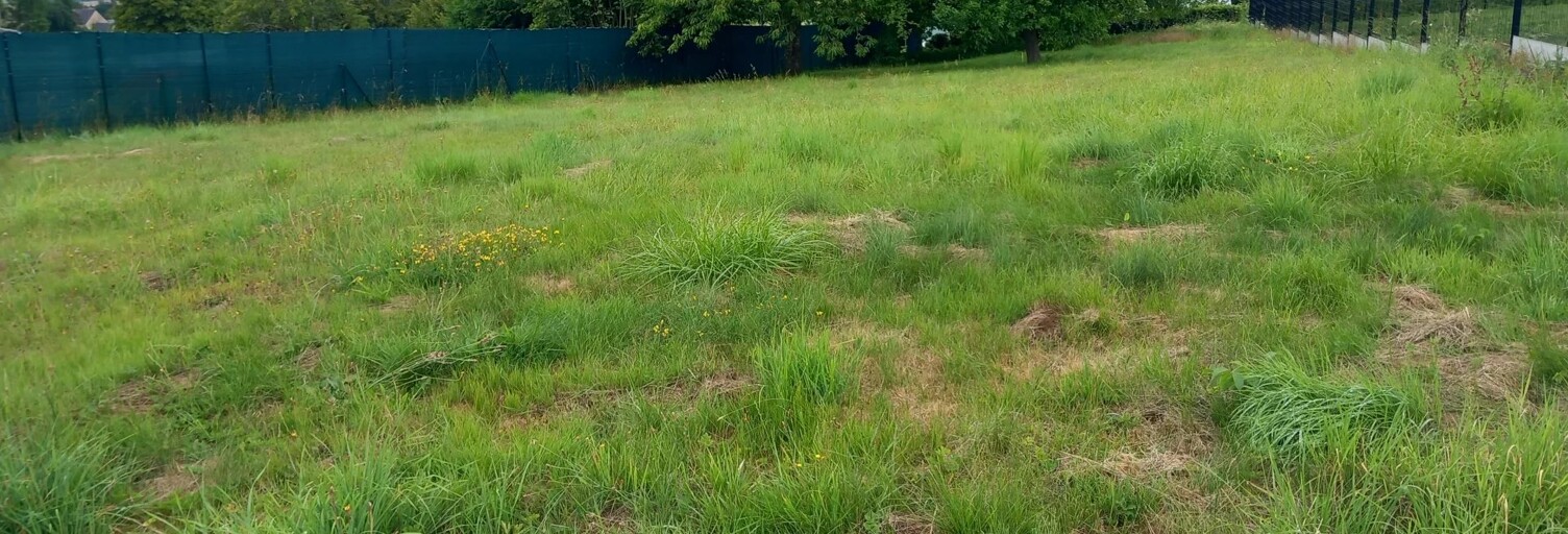 Terrain  999 m² à vendre à Sains-du-Nord (59177)