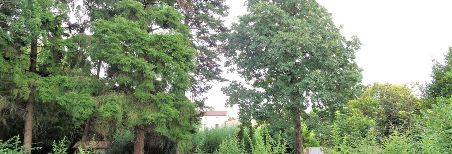 Terrain  693 m² à vendre à Graulhet (81300)