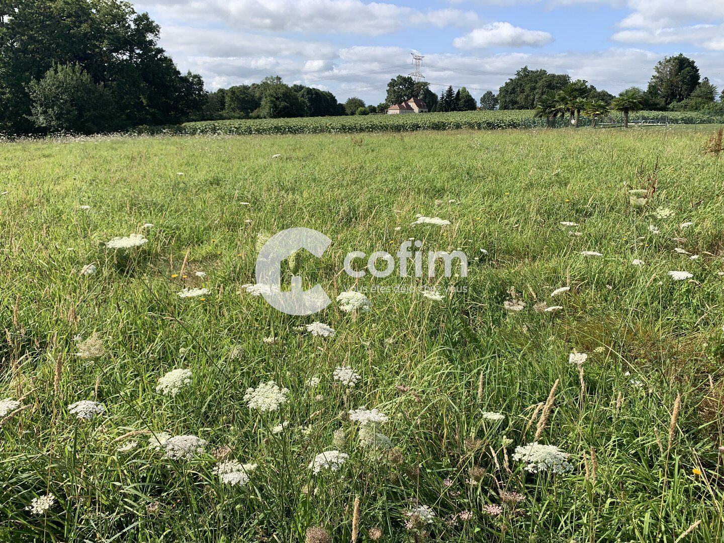 Terrain  à vendre Pau 64000