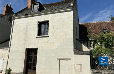vente maison 88 000 € à proximité de Saint-Senoch (37600)