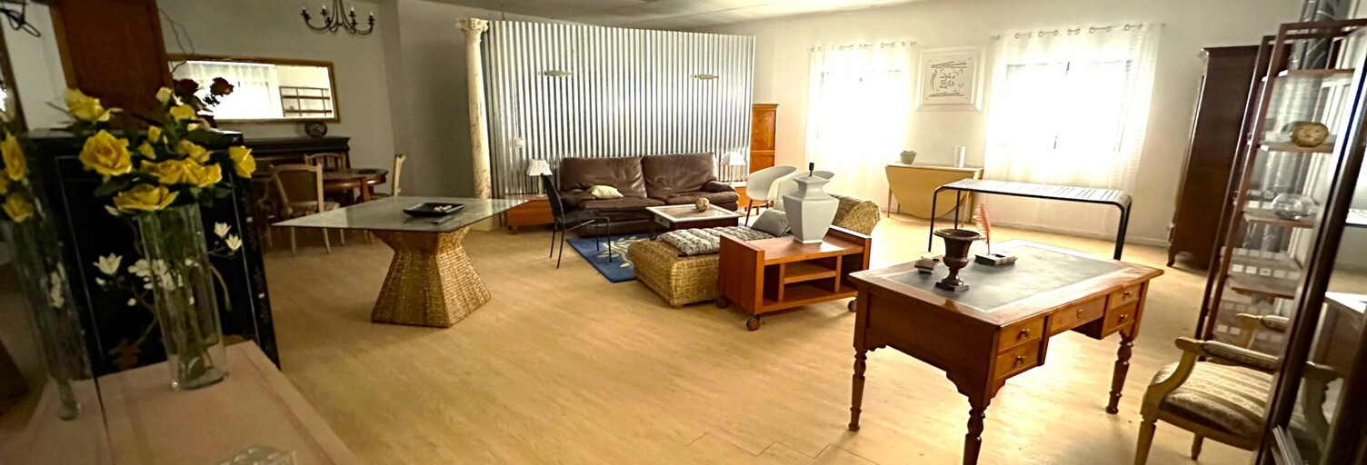 Commerce 8 Pièces 672 m² à vendre à Dissay (86130)