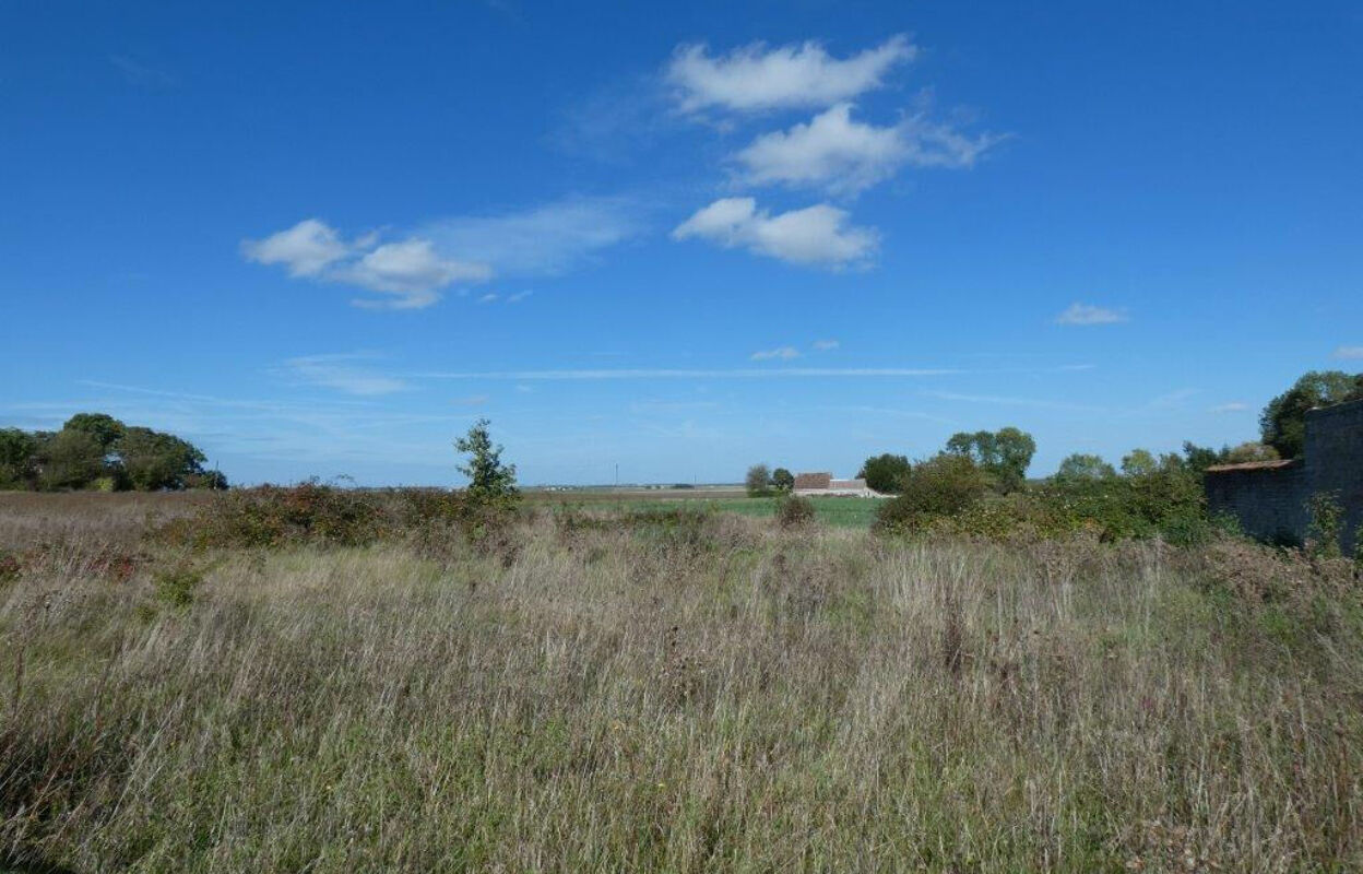 terrain  pièces 967 m2 à vendre à Vrigny (45300)