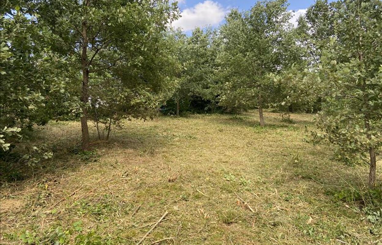 terrain  pièces 1500 m2 à vendre à Mirande (32300)