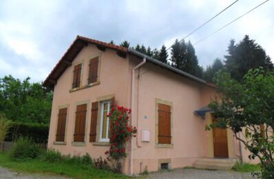 vente maison 268 000 € à proximité de Girecourt-sur-Durbion (88600)
