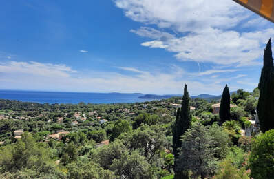 Vue mer panoramique — photo du bien