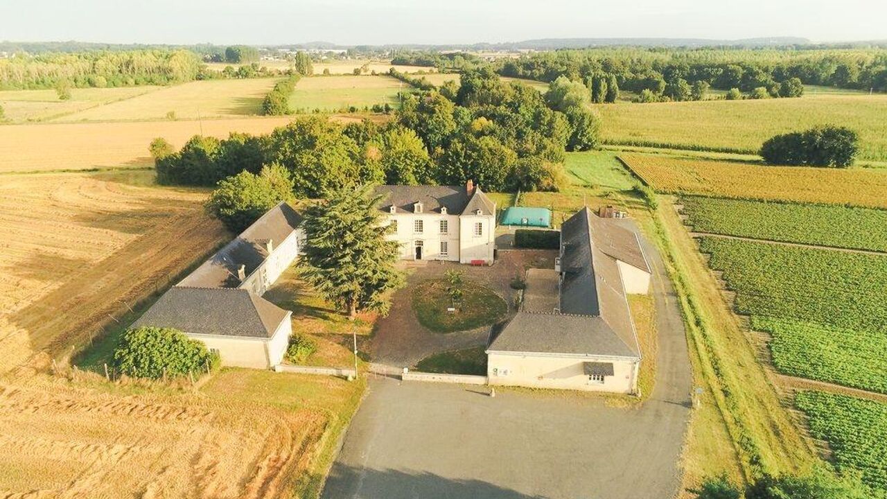 maison 10 pièces 1030 m2 à vendre à Beaufort-en-Anjou (49250)