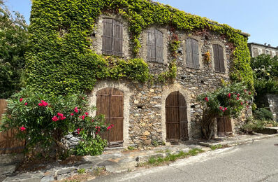 vente maison 455 000 € à proximité de Castellare-Di-Casinca (20213)