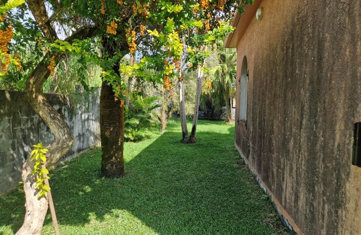 MAISON A VENDRE BRAS-PANON ILE DE LA REUNION — photo 5