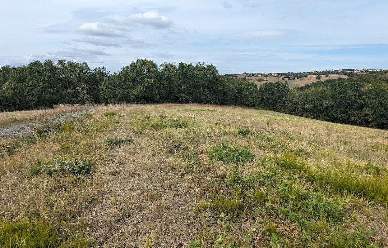 terrain  pièces 38528 m2 à vendre à Albi (81000)