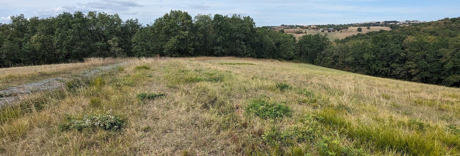 Terrain  38528 m² à vendre à Albi (81000)