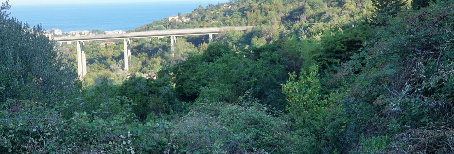 Maison  1195 m² à vendre à Sainte-Agnès (06500)