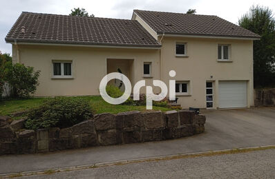 vente maison 335 500 € à proximité de Celles-sur-Plaine (88110)