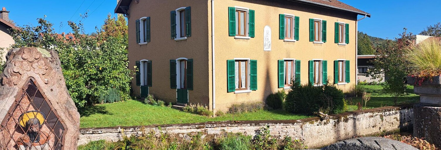 Maison 9 Pièces 220 m² à vendre à Docelles (88460)