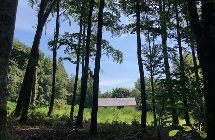 CORREZE — photo 3