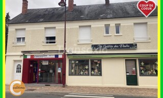 Maison 1 Pièce 160 m² à vendre à Avord (18520)
