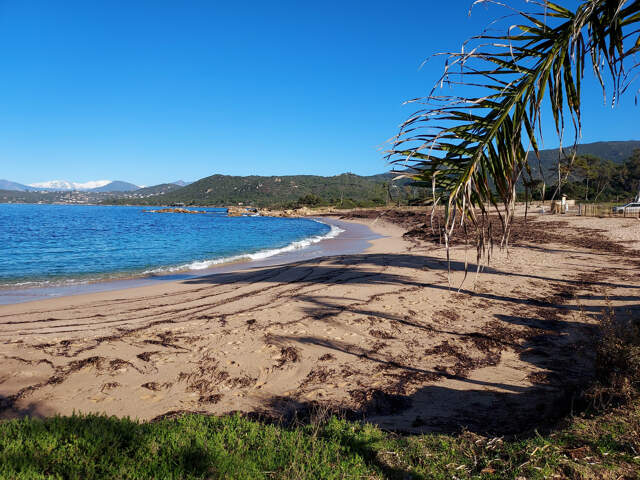 Rive Sud secteur Coti Chiaveri Etablissement les pieds dans — photo du bien